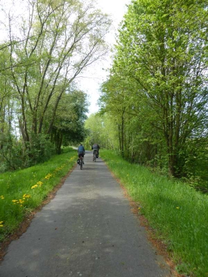 Radweg Groß Wasserburg-Unterspreewald 216_15