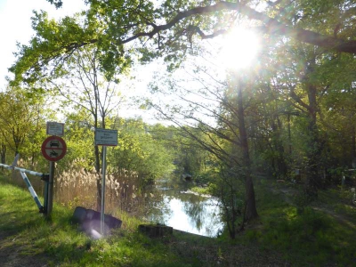 Radweg Schlepzig-Lübben 216_06