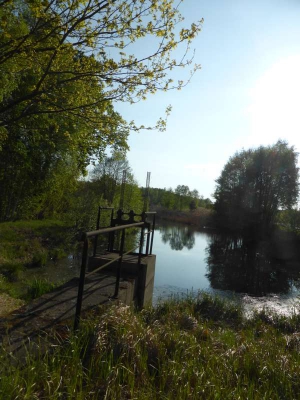 Radweg Schlepzig-Lübben 216_17