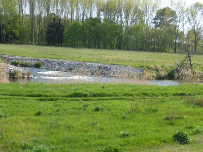Radweg Peitz-Straupitz 316_13