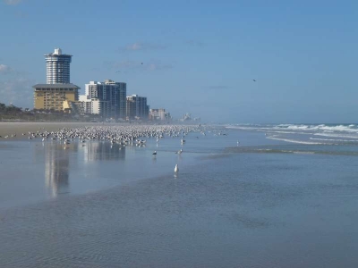 Daytona Beach_42