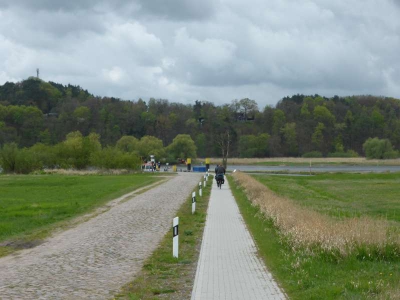 Elberadweg Hitzacker-Bleckede 1815_02