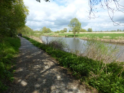 Elberadweg Hitzacker-Bleckede 1815_12