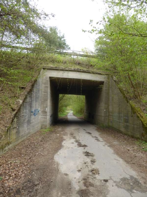 Elberadweg Hitzacker-Bleckede 1815_14