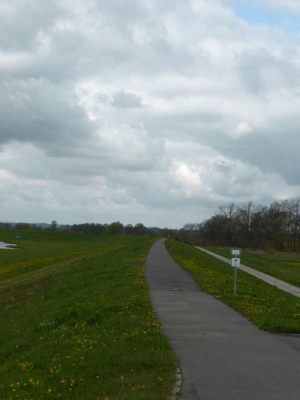 Elberadweg Dömitz-Hitzacker 1815_04