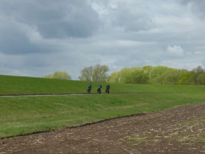 Elberadweg Dömitz-Hitzacker 1815_11