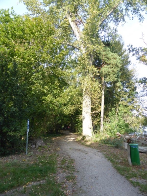 Tegler Forst Konradshöhe 4017_03