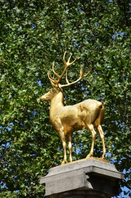 Rudolph Wilde Park 3920_08