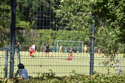 Volkspark Wilmersdorf 3920_22