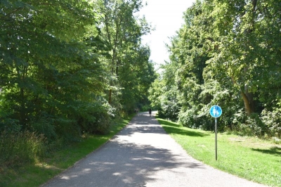 Park an der Ilm 19_05