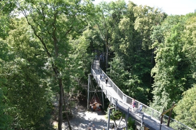 Baumkronenpfad Hainich 2520_40