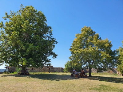 Burg Gleichen 2520_09