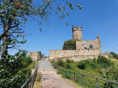 Mühlburg 2520_10