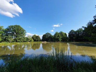 Schlosspark Gotha 2520_08