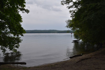 Müggelsee 2521_05