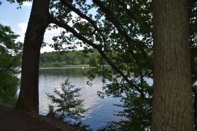 Schlachtensee 4021_05