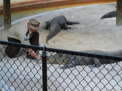 Everglades Safari Park_06