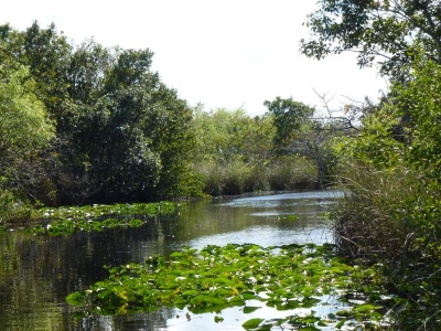 Everglades Safari Park_14