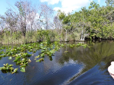 Everglades Safari Park_16