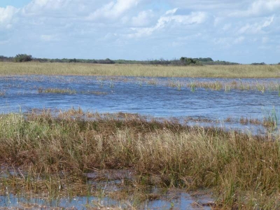 Everglades Safari Park_19