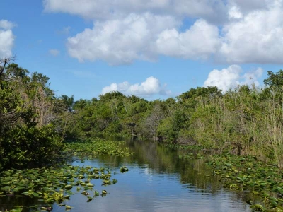 Everglades Safari Park_31