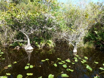 Everglades Safari Park_33