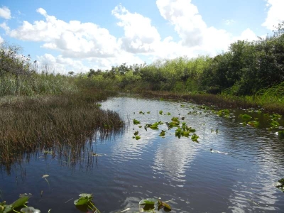 Everglades Safari Park_71