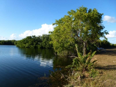 Pouratis Pond_05