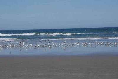 Daytona Beach_14