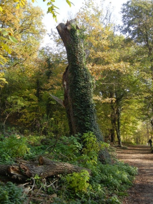 Rundweg Scharfe Lanke Spandau_04