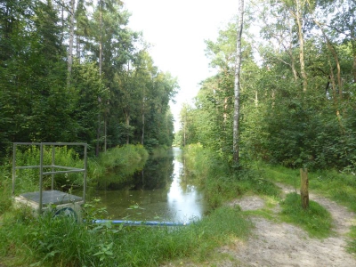 Spandauer Forst 3217