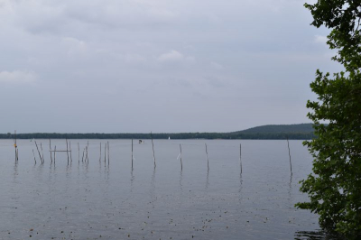 Müggelsee 2521_04