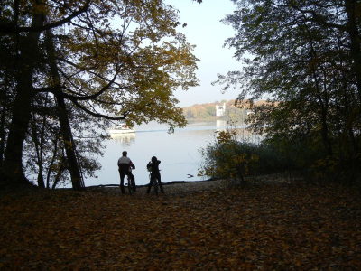 Pfaueninsel (2)