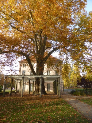 Schloss Niederschönhausen Berlin 4415_08