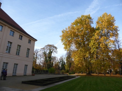 Schlosspark Niederschönhausen Berlin 4415_05