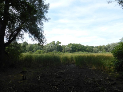 Naturschutzgebiet Fauler See Weißensee 3416_02