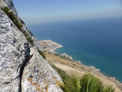 Apes Den Gibraltar 2515_02