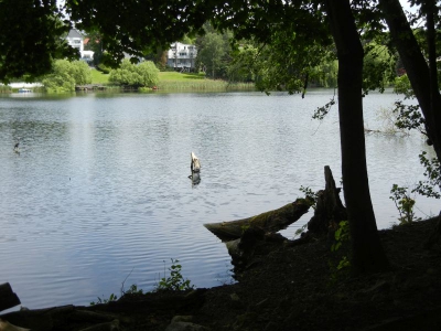 Hundekehlensee Grunewald_04