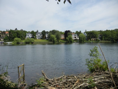 Hundekehlensee Grunewald_05