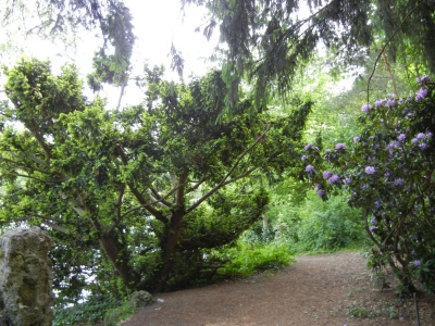 Koenigssee Grunewald_04