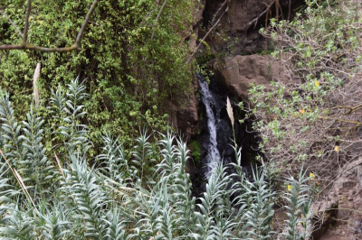 Wanderung durch die Falkenschlucht 21_76