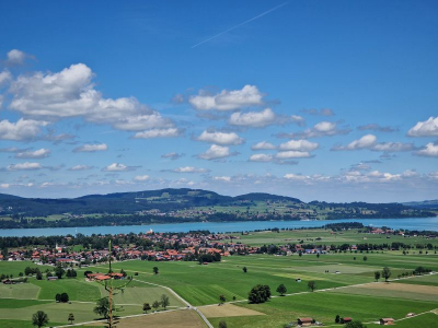 Schloss Neuschwanstein 2622_04