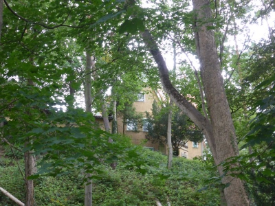 Buddhistisches Haus Frohnau 3517_07