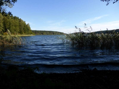 Großer Pälitzsee Zerlang10.13