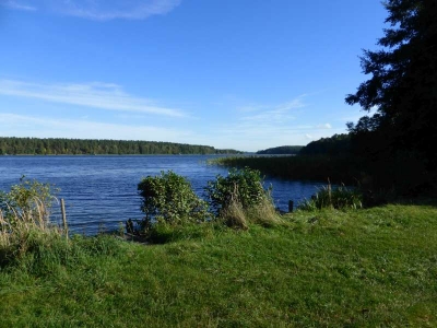 Großer Pälitzsee Zerlang10.13_06
