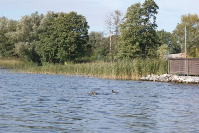 Großer Pälitzsee_47