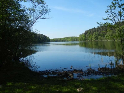 Peetschsee bei Mirow1814