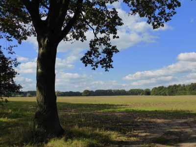 Radweg Meseberg-Großmutz10.13_03