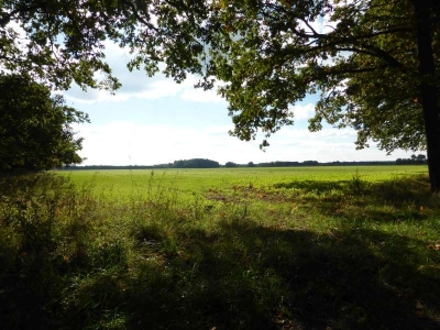 Radweg Meseberg-Großmutz10.13_06