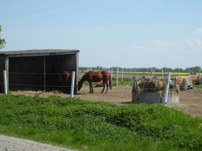 Radweg Herzberg-Vielitz1814_02